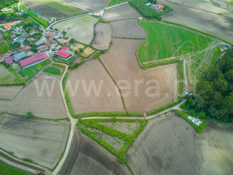 Terreno  Barcelos, Milhazes, Vilar de Figos e Faria - 1408866 - 4