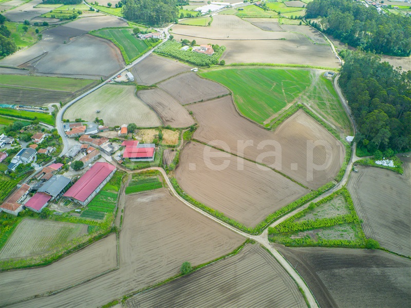 Terreno  Barcelos, Milhazes, Vilar de Figos e Faria - 1408866 - 5