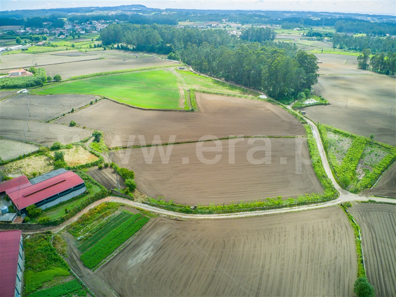 Terreno  Barcelos, Milhazes, Vilar de Figos e Faria - 1408866 - 7