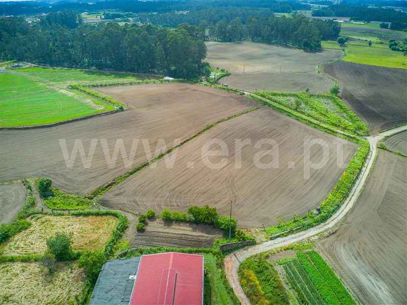 Terreno  Barcelos, Milhazes, Vilar de Figos e Faria - 1408866 - 8