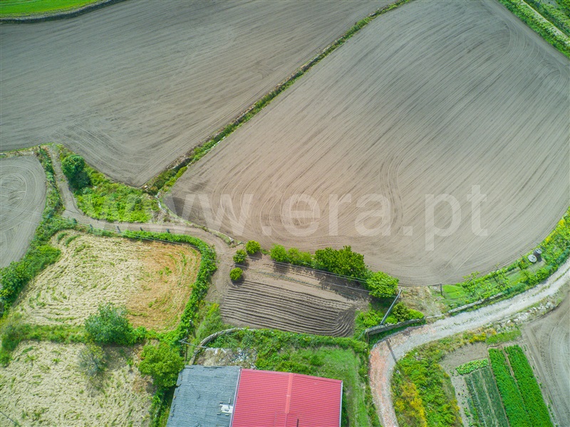 Terreno  Barcelos, Milhazes, Vilar de Figos e Faria - 1408866 - 9