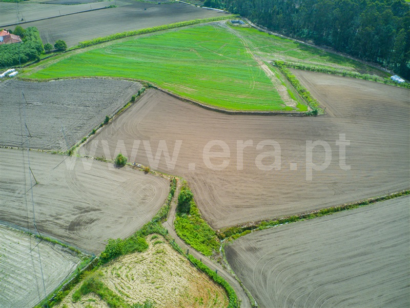 Terreno  Barcelos, Milhazes, Vilar de Figos e Faria - 1408866 - 10