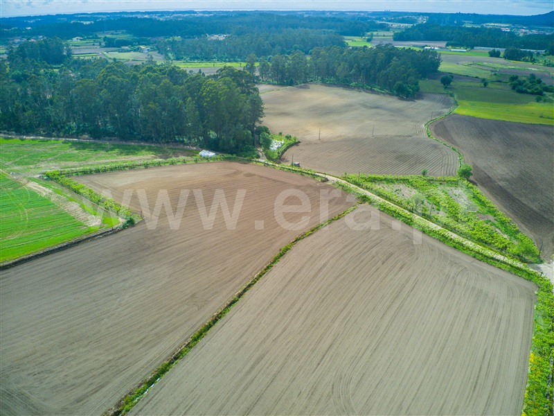 Terreno  Barcelos, Milhazes, Vilar de Figos e Faria - 1408866 - 11