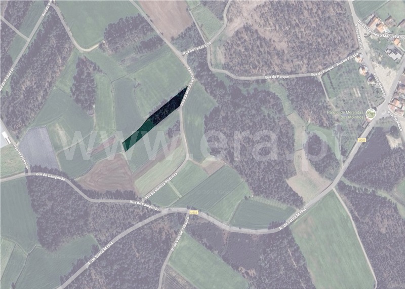 Terreno Rústico / Barcelos, Paradela