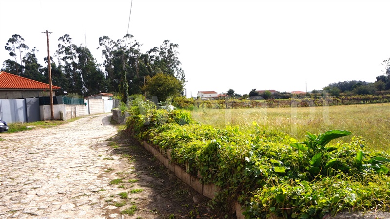 Terreno Rústico  Barcelos, Perelhal - 1357295 - 1