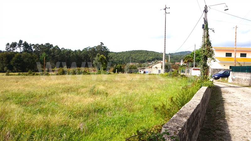 Terreno Rústico  Barcelos, Perelhal - 1357295 - 3