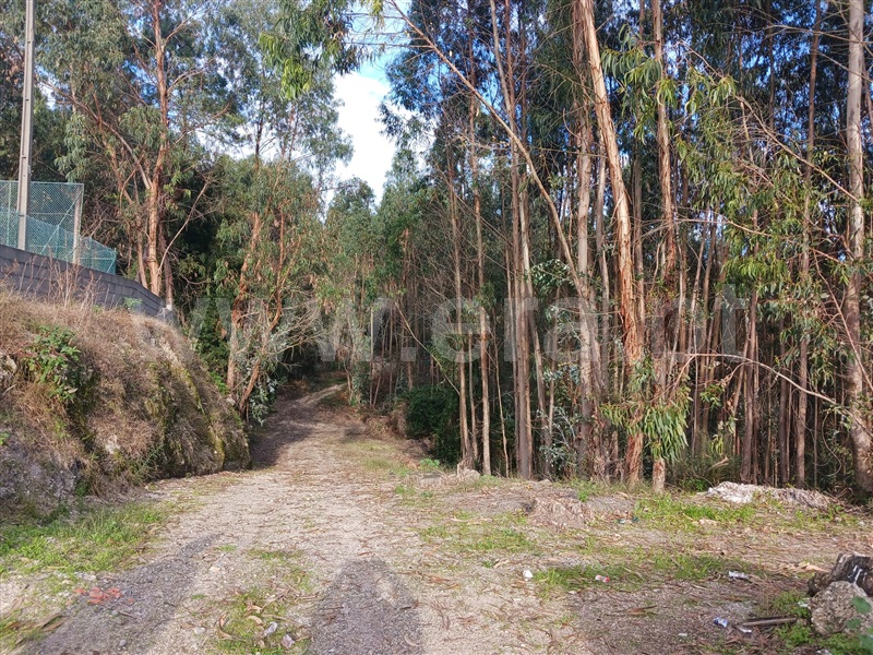 Terreno Rústico / Barcelos, Sequeade e Bastuço (São João e Santo Estevão)