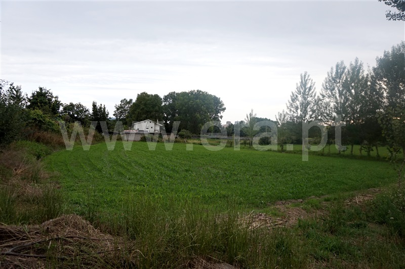 Terreno Rústico  Barcelos, Tamel (São Veríssimo) - 1022455 - 7
