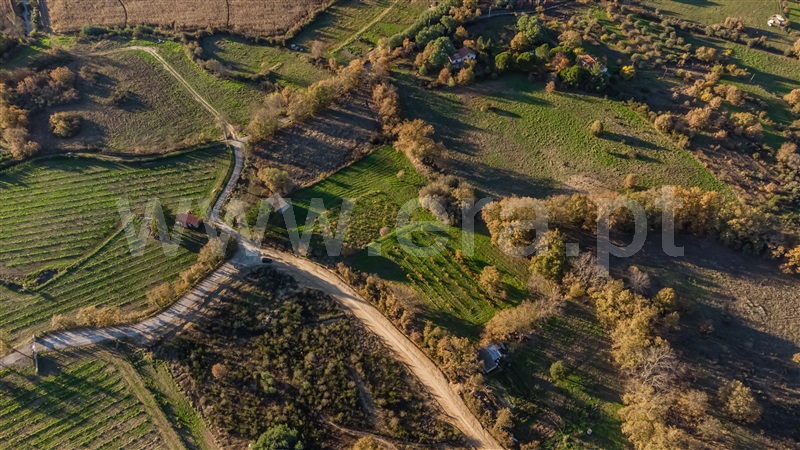 Terreno Rústico / Belmonte, Caria