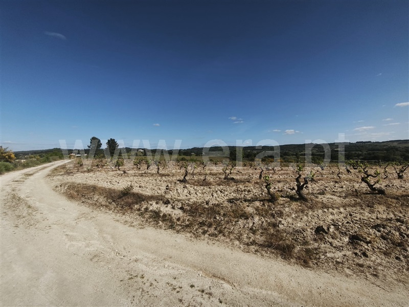 Terreno Rústico / Belmonte, Caria
