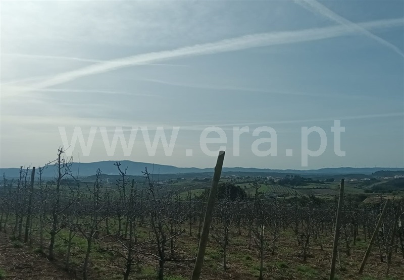 Terreno Rústico / Bombarral, Bombarral e Vale Covo