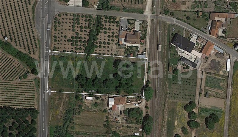 Terreno Rústico / Bombarral, Bombarral e Vale Covo