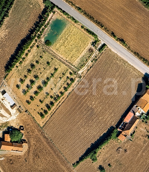 Terreno Rústico / Bombarral, Carvalhal