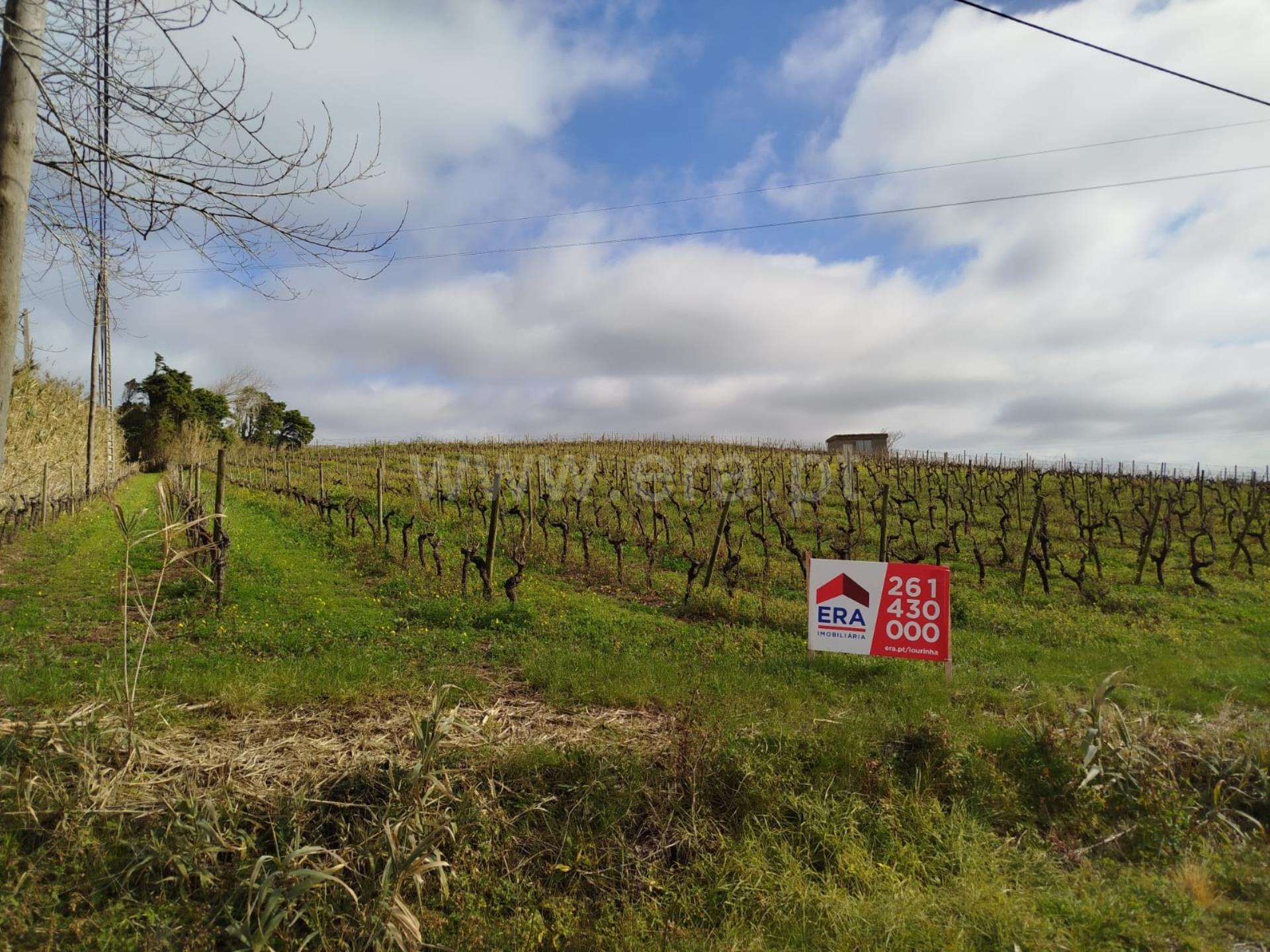 Land for sale in Bombarral, Portugal — €600,000