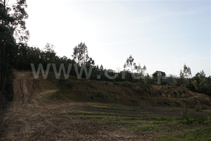 Terreno Rústico  Bombarral, São Mamede - 1230405 - 1