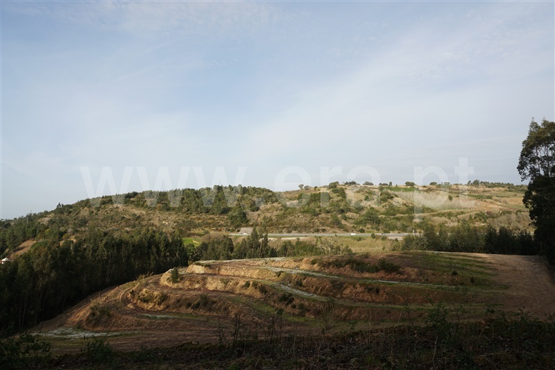 Terreno Rústico / Bombarral, Columbeira