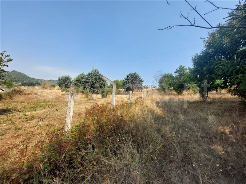 Azenha  Bragança, Sé, Santa Maria e Meixedo - 1501546 - 1