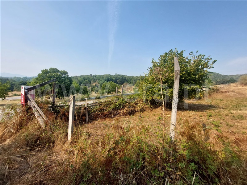 Azenha  Bragança, Sé, Santa Maria e Meixedo - 1501546 - 3