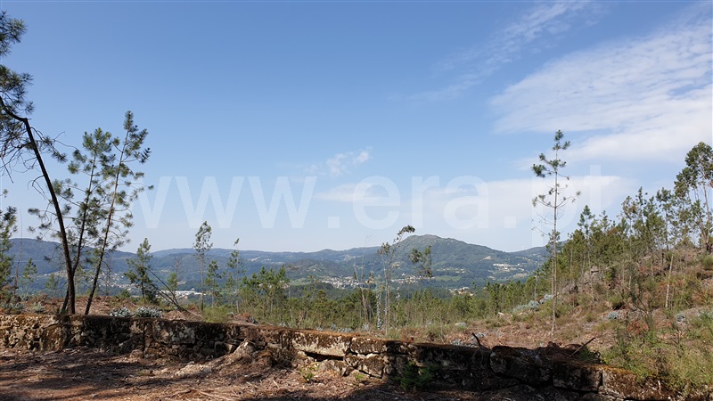 Terreno Rústico  Cabeceiras de Basto, Refojos de Basto, Outeiro e Painzela - 1177529 - 6