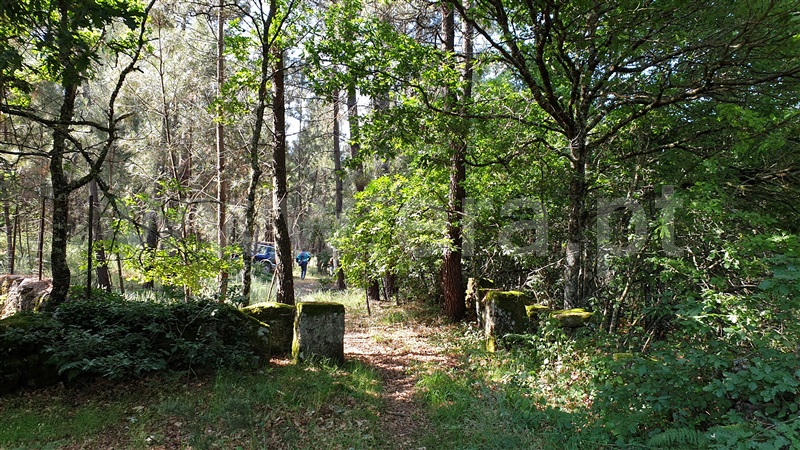 Terreno Rústico  Cabeceiras de Basto, Refojos de Basto, Outeiro e Painzela - 1177529 - 10