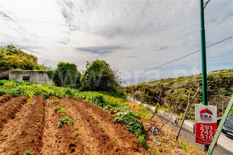 Terreno Rústico  com Vista Mar Calheta (Madeira), Calheta - 1369398 - 11