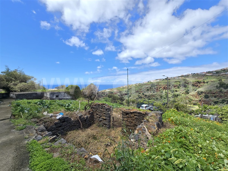 Terreno Rústico / Calheta (Madeira), Calheta