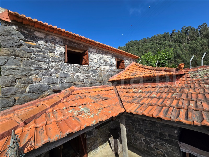 Armazém T1 Calheta (Madeira), Calheta - 1507694 - 3