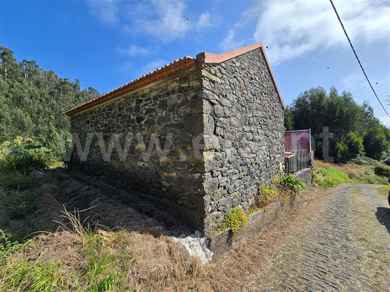 Armazém T1 Calheta (Madeira), Calheta - 1507694 - 13
