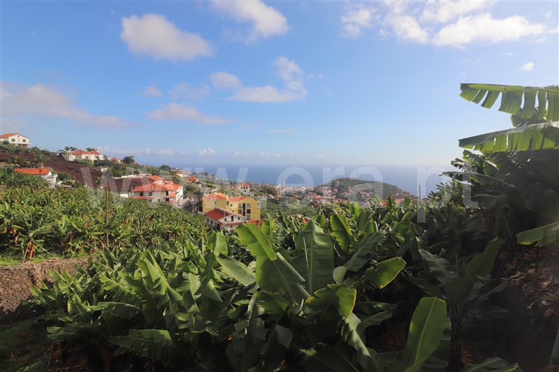 Terreno Rústico / Câmara de Lobos, Estreito de Câmara de Lobos