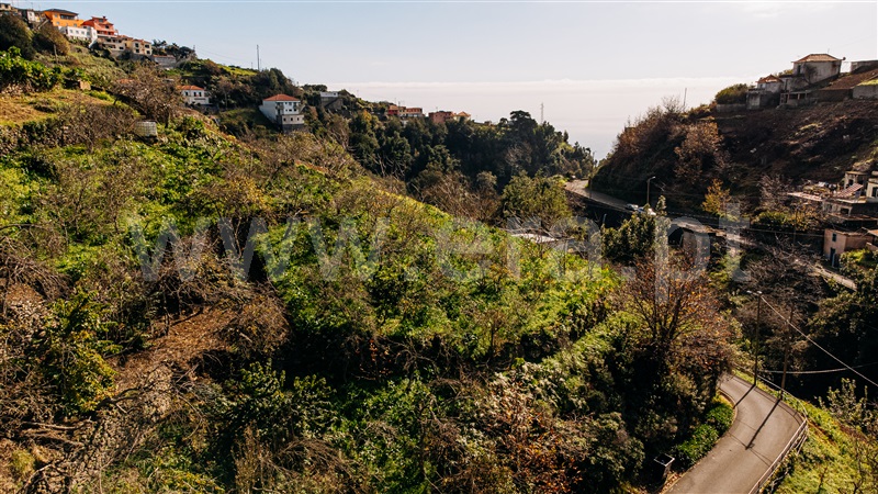 Terreno Rústico  Câmara de Lobos, Jardim da Serra - 1453503 - 10