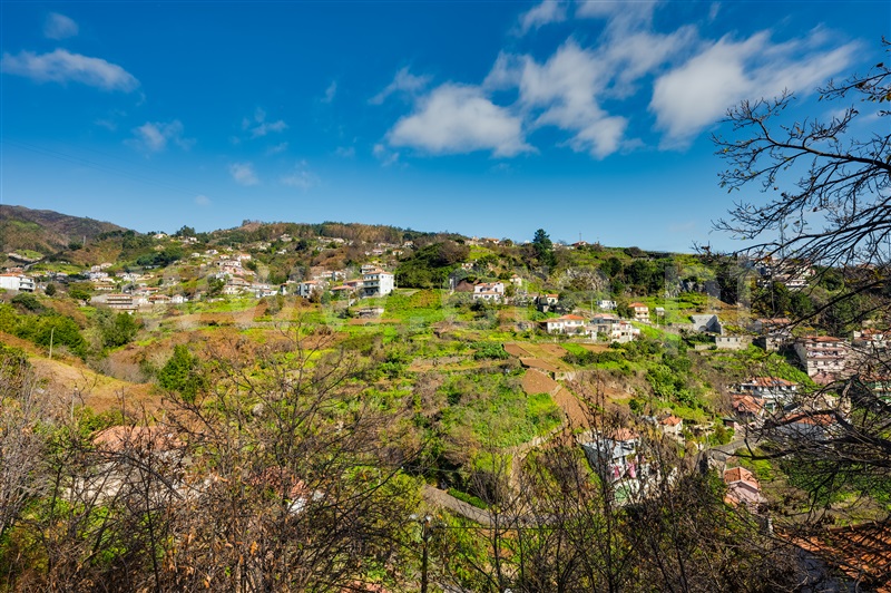 Terreno Rústico  Câmara de Lobos, Jardim da Serra - 1453503 - 12