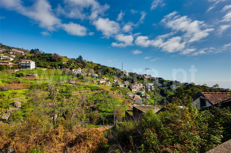 Terreno Rústico  Câmara de Lobos, Jardim da Serra - 1453503 - 13