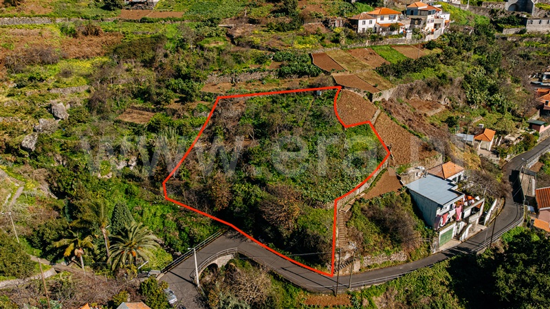 Terreno Rústico / Câmara de Lobos, Jardim da Serra