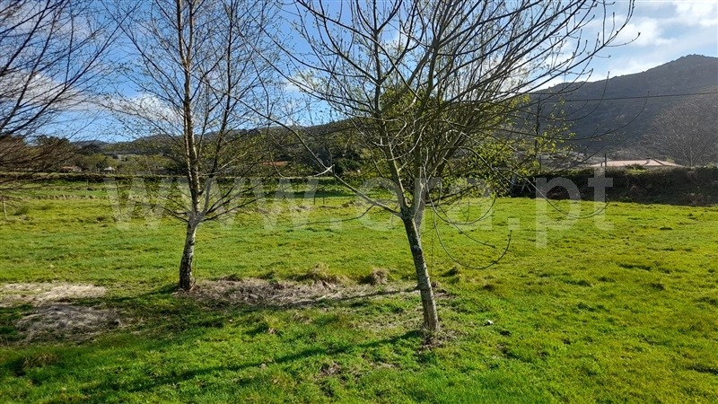 Terreno Rústico  com Rústico Caminha, Arga (Baixo, Cima e São João) - 1315311 - 7