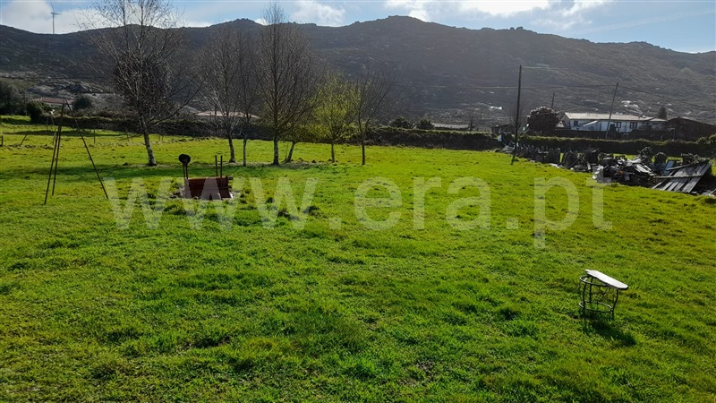 Terreno Rústico  com Rústico Caminha, Arga (Baixo, Cima e São João) - 1315311 - 10