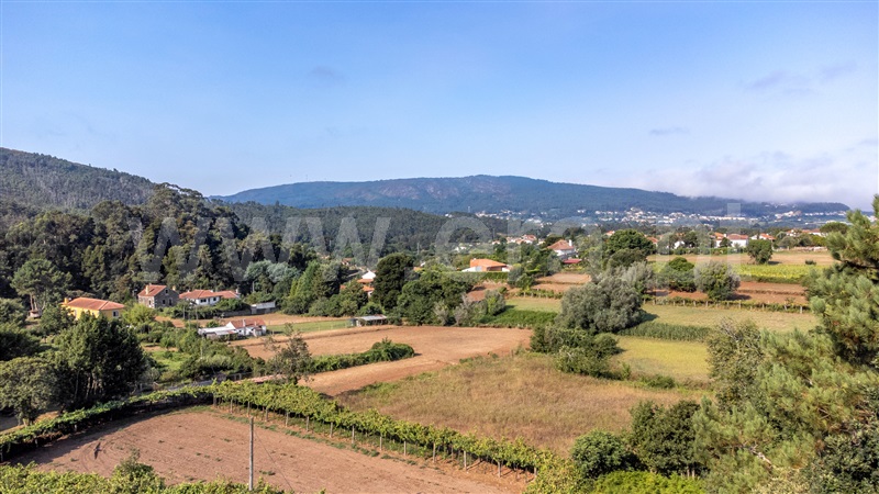Terreno Rústico  com Rústico Caminha, Argela - 1266390 - 1