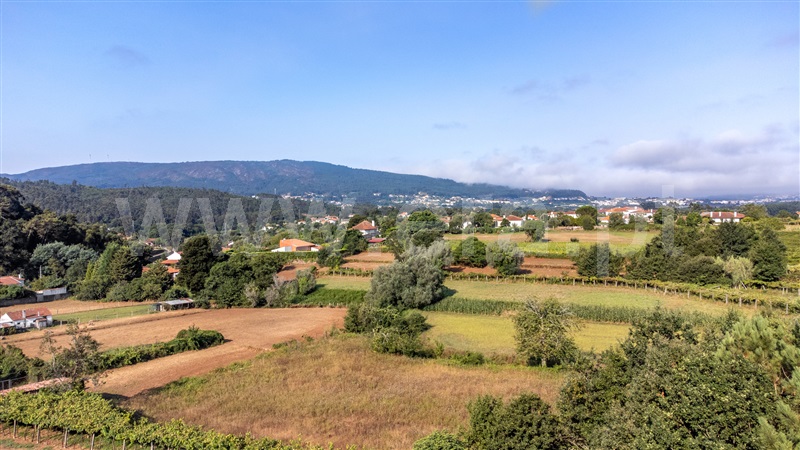 Terreno Rústico  com Rústico Caminha, Argela - 1266390 - 2