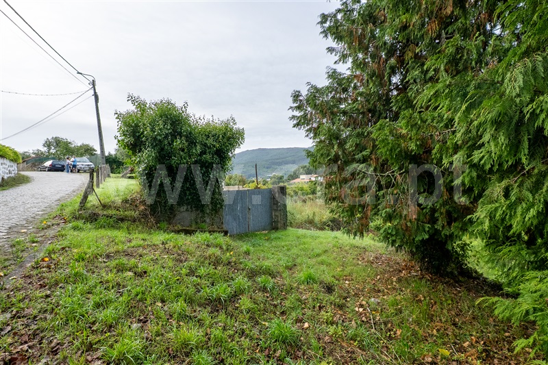 Terreno Rústico  Caminha, Riba de Âncora - 1505715 - 11