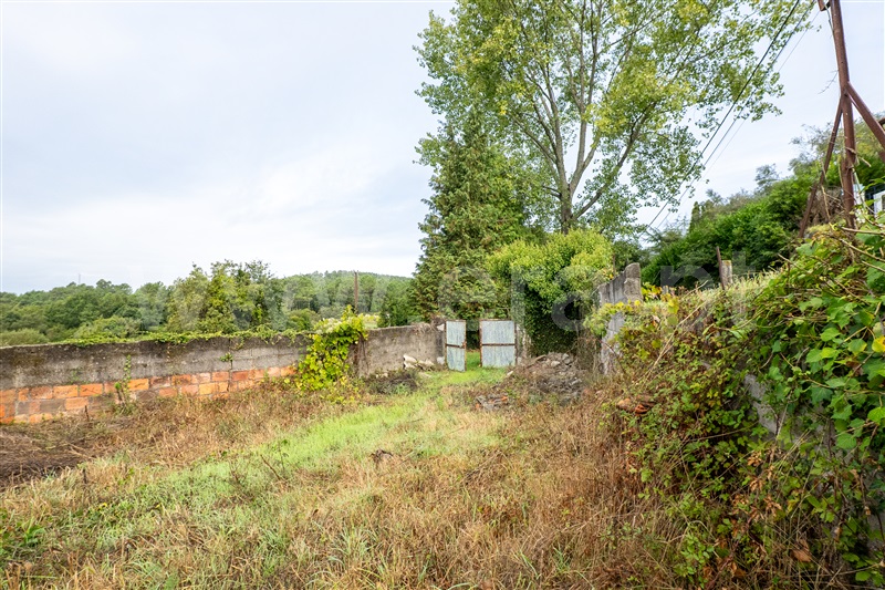 Terreno Rústico  Caminha, Riba de Âncora - 1505715 - 15