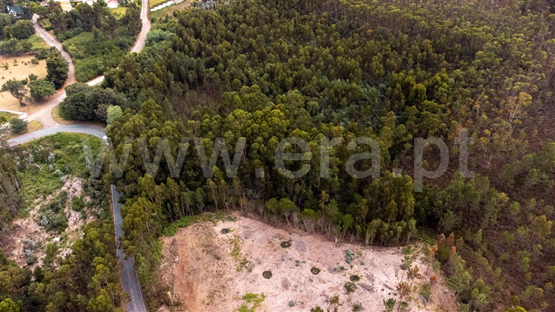 Terreno Rústico  Caminha, Seixas - 1334619 - 11