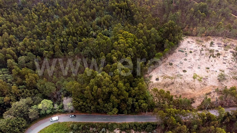 Terreno Rústico  Caminha, Seixas - 1334619 - 13