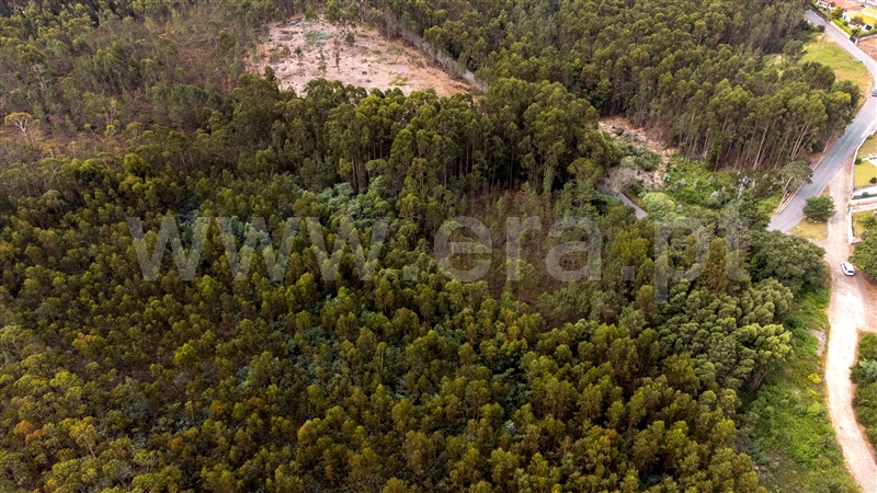 Terreno Rústico  Caminha, Seixas - 1334619 - 14