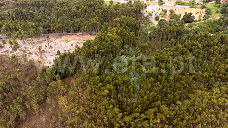 Terreno Rústico  Caminha, Seixas - 1334619 - 15