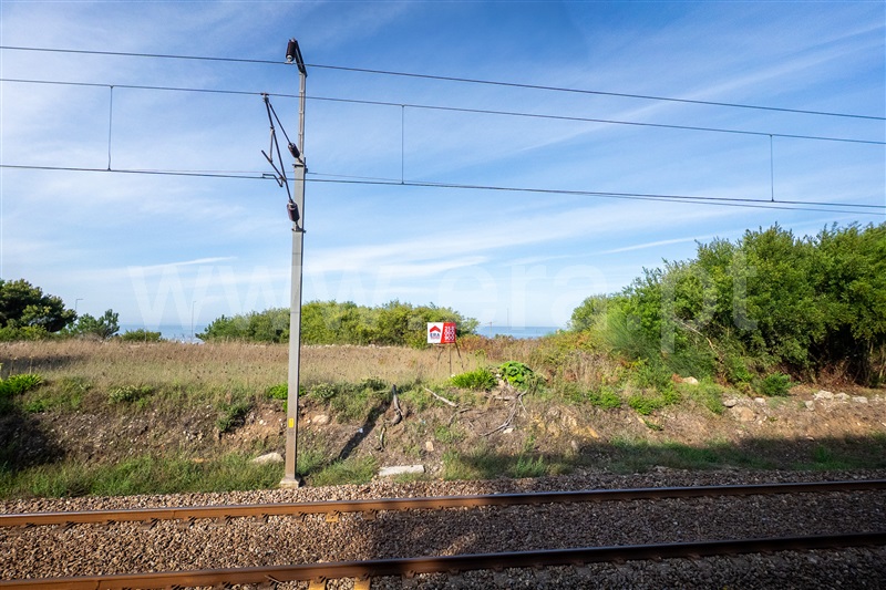 Terreno Rústico  Caminha, Vila Praia de Âncora - 1507676 - 2