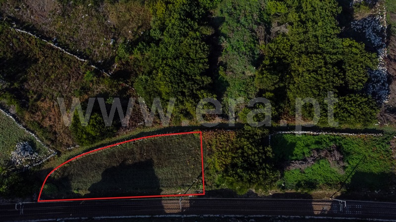 Terreno Rústico  Caminha, Vila Praia de Âncora - 1507676 - 8