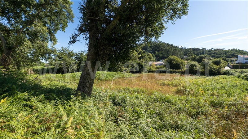 Terreno Rústico  Caminha, Vilar de Mouros - 1496334 - 8