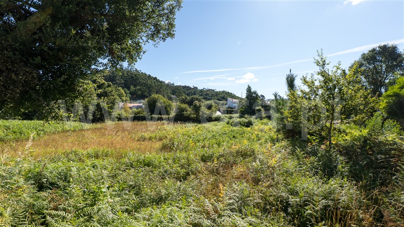 Terreno Rústico  Caminha, Vilar de Mouros - 1496334 - 9