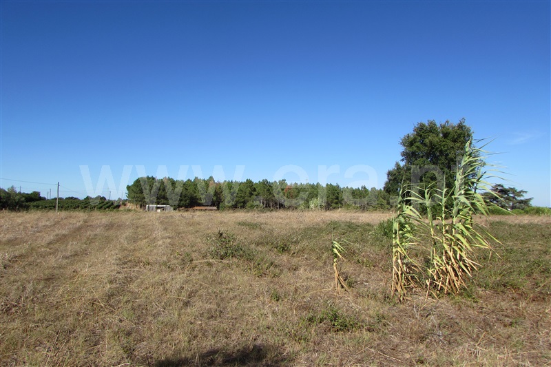 Terreno Rústico / Cartaxo, Pontével