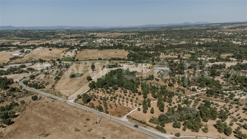 Terreno Rústico  Castelo Branco, Lardosa - 1482406 - 2