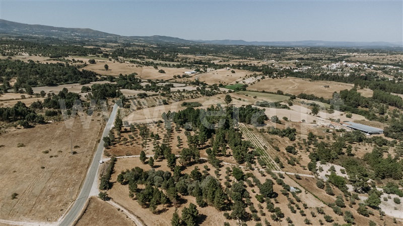 Terreno Rústico / Castelo Branco, Lardosa